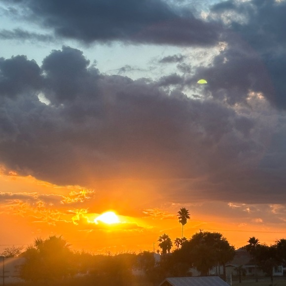 Meet your Posher, Riley - Picture 1 of 1